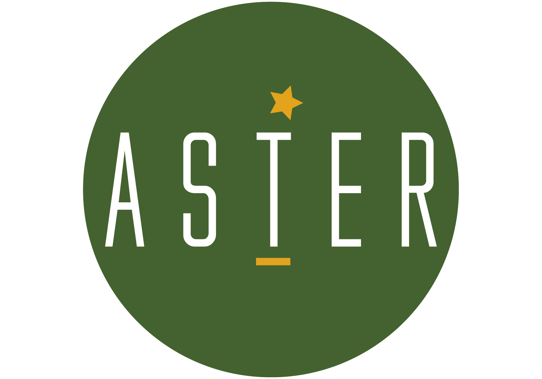 ASTER 01